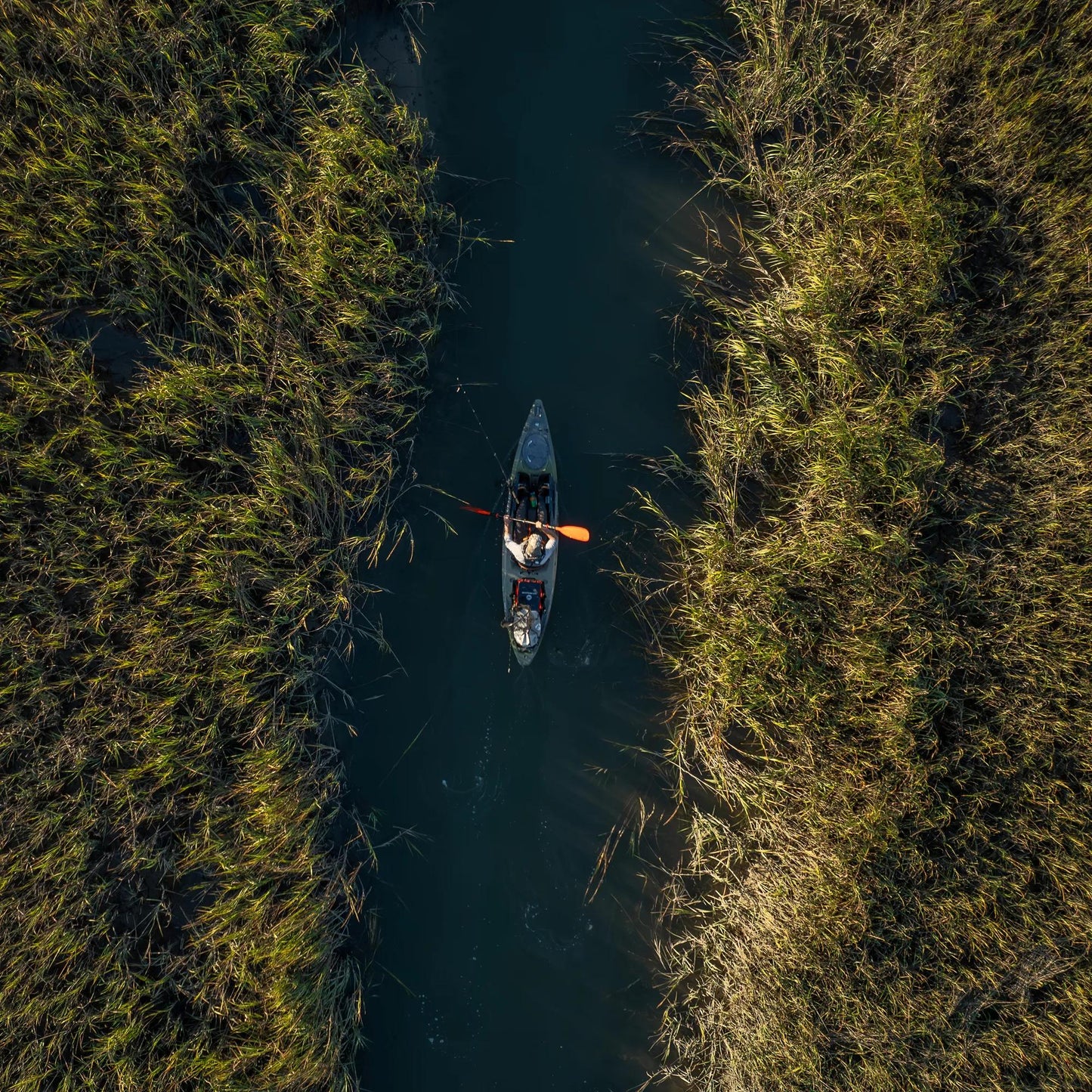 Tarpon 105